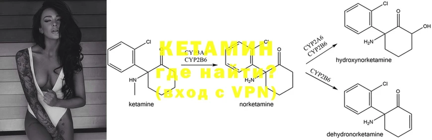 Кетамин ketamine  где можно купить   MEGA ССЫЛКА  Кашин 